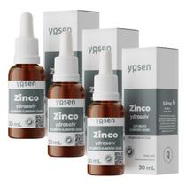 3x Zinco Bisglicinato Ydrosolv Yosen Limão 30ml 3x Zinco Bisglicinato Ydrosolv Yosen Limão 30ml