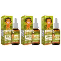 3x Zintrix Zinco em Gotas 20ml Sabor Morango Kids Flora Nativa 3x Zintrix Zinco em Gotas 20ml Sabor Morango Kids Flora Nativa