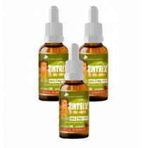 3x Zintrix Zinco Em Gotas Kids- 20ml- Flora Nativa- Morango 3x Zintrix Zinco Em Gotas Kids- 20ml- Flora Nativa- Morango