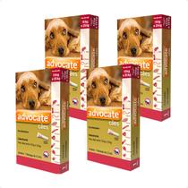 4 Advocate Anti Pulgas Cães De 10-25 Kg 1 Pipeta 2,5ml