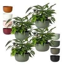 4 Cachepot Cuia Pote N 6 Vaso Raiz Due 21 14x24cm Folhagem 4 Cachepot Cuia Pote N 6 Vaso Raiz Due 21 14x24cm Folhagem