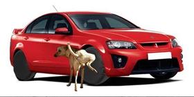 4 Capas Protetora Roda Pneu NAPA Preto Anti Xixi Cachorro