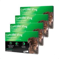4 Capstar Antipulgas Mata Berne Cães Até 57kg Envio Imediato