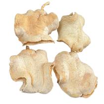 4 Casca Boca De Sapo Semente Enfeite Decorações Alvejada