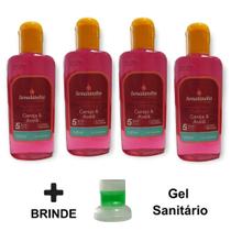 4 Cheirinho Concentrado Limpa Casa 140ml Lavanda Talco Cereja Avelã Bambu Alga Mar Capim - Envio Já