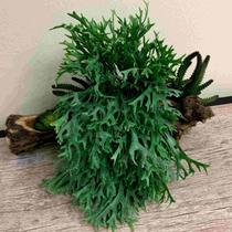 4 Chifres de Veado 35cm Plantas Artificiais com Folhagem Verde para Jardim Vertical - DE645606