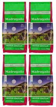 4 Erva mate Chimarrão MADRUGADA MOIDA GROSSA Sem Glúten 1 kg
