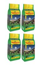 4 Erva mate Chimarrão MADRUGADA VERDE NATIVA Moagem Fina 1kg