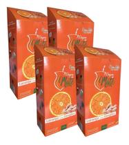 4 Erva Mate Chimarrão ORIGEM DO MATE LARANJA GENGIBRE 500gr 4 Erva Mate Chimarrão ORIGEM DO MATE LARANJA GENGIBRE 500gr