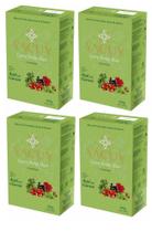 4 Erva Mate Chimarrão Terere Yacuy GREEN AÇAÍ E GUARANÁ 4 Erva Mate Chimarrão Terere Yacuy GREEN AÇAÍ E GUARANÁ