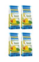 4 Erva Mate Tereré MADRUGADA ABACAXI E MENTA composta 500g 4 Erva Mate Tereré MADRUGADA ABACAXI E MENTA composta 500g