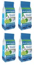 4 Erva Mate Tereré MADRUGADA LIMÃO E MENTA composta 500g