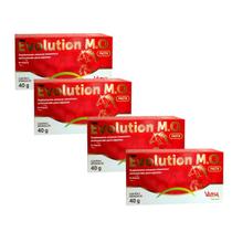4 Evolution M.O. Com 2 X 40 Gr Suplemento Engorda Para Equinos