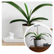 4 Galhos De Folhas Artificiais em Silicone Hastes Flexíveis Produto que Parece Real Para Decorações DE3224 4 Galhos De Folhas Artificiais em Silicone Hastes Flexíveis Produto que Parece Real Para Decorações DE3224