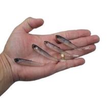 4 Iscas Artificial Pesca Shad Para Tucunare Robalo Traira
