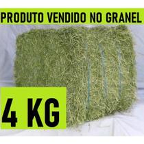 4 KG Feno Tifton 85 Para Coelho, Porquinho da India e Roedores em Geral. 4 KG Feno Tifton 85 Para Coelho, Porquinho da India e Roedores em Geral.