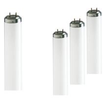 4 Lâmpadas Tubular Philips Fluorescente T8 4100k 16w Bivolt