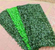4 modelo de Muro Inglês Folhas Fícus 1,00x2.00m Artificial Para Decoração De Casa - ying