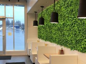 4 Placas de grama eucaliptos artificiais paredes decorativas - DE207219