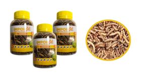 4 Potes com Tenébrio Desidratado para Aves Peixes Répteis Roedores e Pequenos Primatas 35g Importado