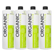 4 Progressivas Organic Sem Formol Antifrizz - Steel Liss