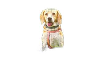 4 Quebra-Cabeças Cachorros Diversão Inclusiva E Inteligente 4 Quebra-Cabeças Cachorros Diversão Inclusiva E Inteligente