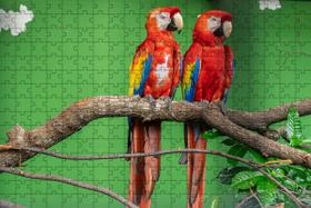 4 Quebra-Cabeças de Aves Diversão Inclusiva e Inteligente 24 peças grandes