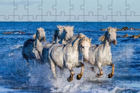 4 Quebra-Cabeças de Cavalos Diversão Inclusiva e Inteligente 24 peças grandes