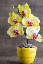 4 Quebra-Cabeças de Flores Coloridas do Mundo de 40 peças