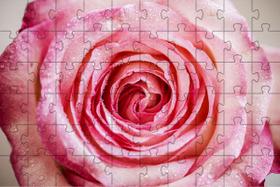 4 Quebra-Cabeças de Flores Diversão Inclusiva 60 peças