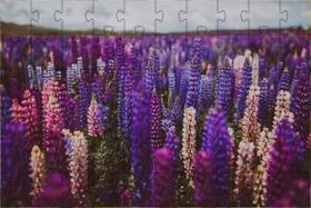 4 Quebra-Cabeças de Flores do Mundo Diversão Inclusiva de 60 peças