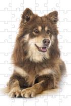4 Quebra-Cabeças Dogs animados Educação Inteligente 60 peças