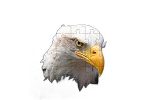 4 Quebra-Cabeças Pássaros Diversão Inclusiva E Inteligente