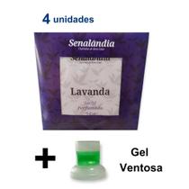 4 Sachê Perfumado Gaveta Armário Cheirinho de Lavanda Guarda Roupa Top Marca Senalândia - Envio Já