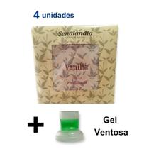 4 Sachê Perfumado Gaveta Armário Cheirinho de Vanilla Guarda Roupa Top Marca Senalândia - Envio Já