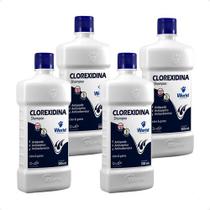 4 Shampoo Clorexidina Dugs Cães Seborreia Anti Queda 500ml