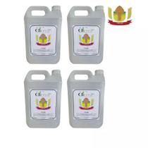 4 Solução Bidestilada Alimentícia de Cereais 96 Puro Refinado para fabricação licores cosméticos 5L 4 Solução Bidestilada Alimentícia de Cereais 96 Puro Refinado para fabricação licores cosméticos 5L