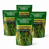 4 Unidades Substrato Samambaia 3l - Terral