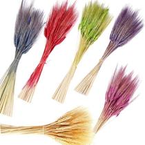 40 Unid. Trigo Seco Colorido p/ Decoração Convites Arranjos 40 Unid. Trigo Seco Colorido p/ Decoração Convites Arranjos