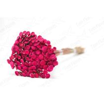 400 Botão Pink Desidratado 400 Botão Pink Desidratado