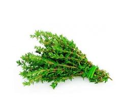 400 Sementes De Tomilho ORIGINAL