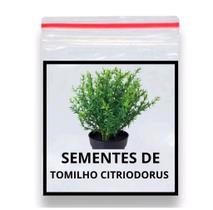 400 Sementes De Tomilho 400 Sementes De Tomilho