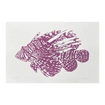 4922 kleber ventura gravura