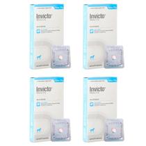 4cx Invicto 57mg 1cp - Para Cães De 11,4 Até 57kg - Dechra