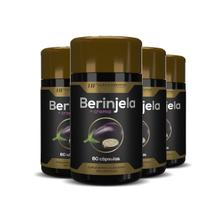 4x BERINJELA + CROMO PREMIUM 1000MG 60CAPS HF SUPLEMENTS - HF SUPLEMENTOS