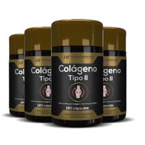 4x colágeno tipo ii 120 cápsulas hf suplementos 4x colágeno tipo ii 120 cápsulas hf suplementos