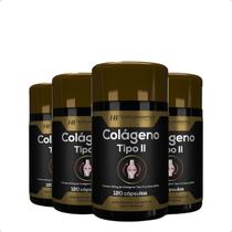 4x colágeno tipo ii 120 cápsulas hf suplementos 4x colágeno tipo ii 120 cápsulas hf suplementos