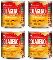 4x Colágeno Verisol + Acido Hialuronico 250 Gr Sabor Laramora Flora Nativa