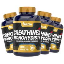 4x Creathinex Monohydrate Creatina Monohidratada 480 Cápsulas Academia Suplemento 100 Pura Energia