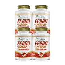 4x Ferro Quelato + Vitamina C 60 caps Flora Nativa